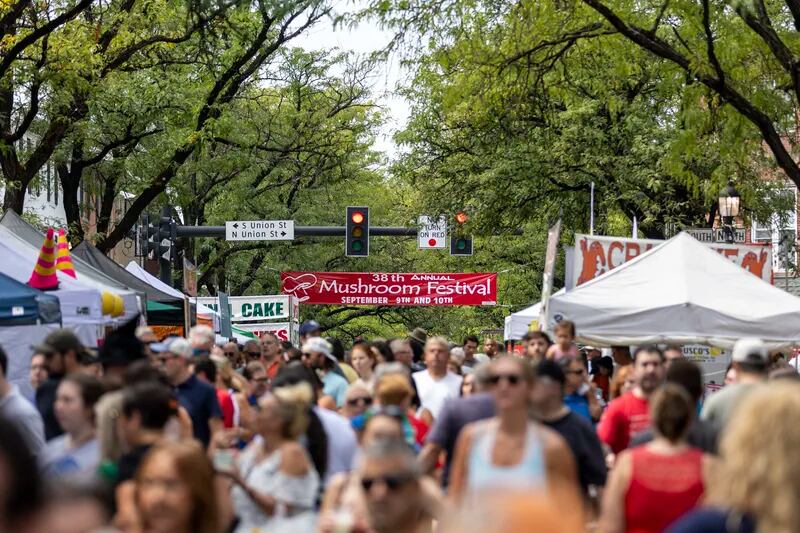 Manhunt goes on, so does mushroom festival