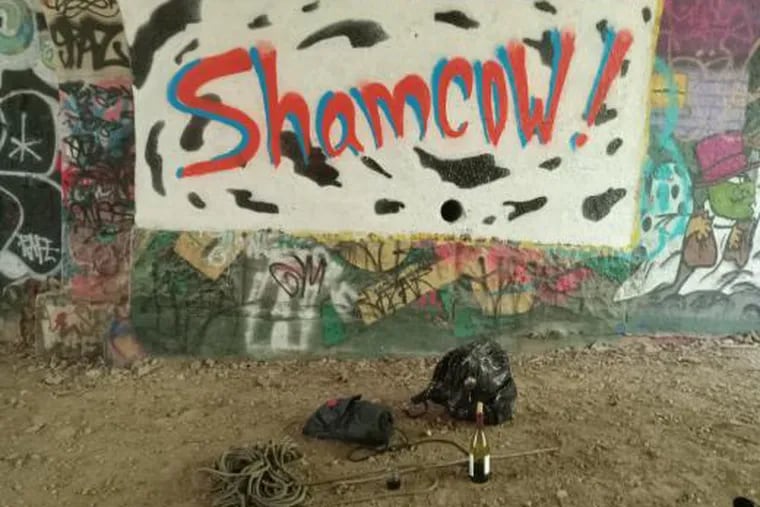 ShamCow! graffiti tags are popping up in Philly with many in the Manayunk and Roxborough area.