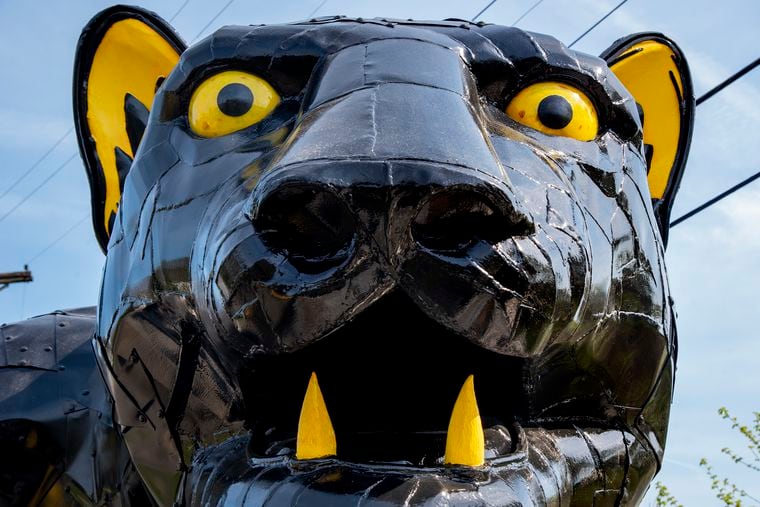 Public art comes to Camden on great big cat feet