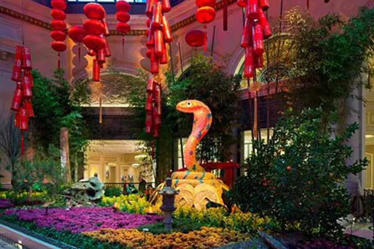 Las Vegas, FEB 11, 2021 - Chinese New Year Decoration In The Bellagio  Conservatory And Botanical Gardens Stock Photo, Picture and Royalty Free  Image. Image 169001405.