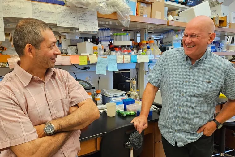 Rick Tarleton (right), who leads a team of researchers at the University of Georgia that has developed a promising new drug for the treatment of Chagas disease, with researcher Angel Padilla.