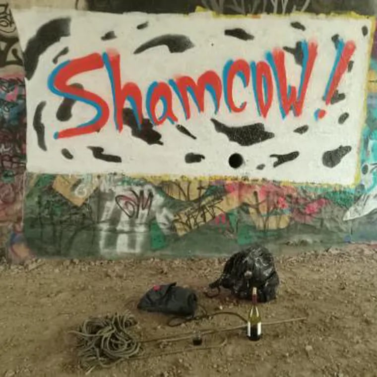 ShamCow! graffiti tags are popping up in Philly with many in the Manayunk and Roxborough area.