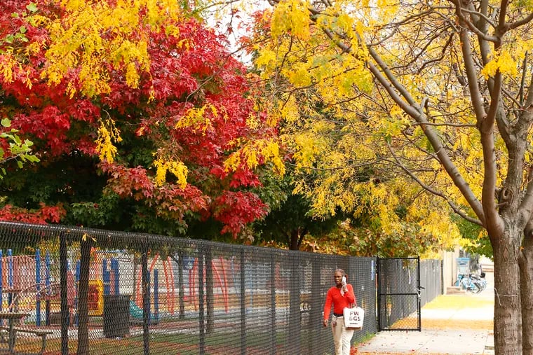 Last week, southeastern counties' foliage was not experiencing a notable transition. This has changed, according to the DCNR's latest report.