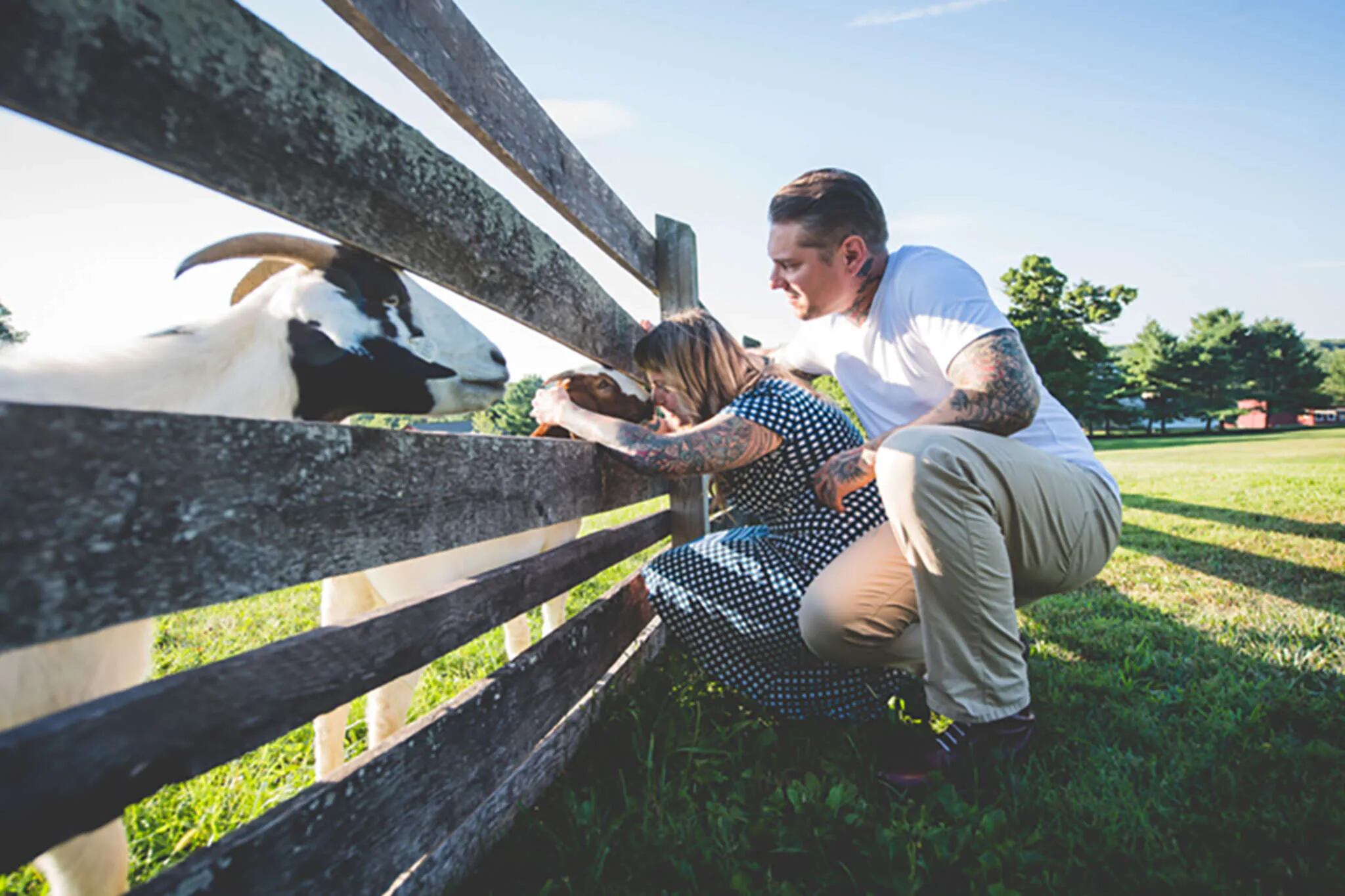 Engagement photos: Bring on the farm animals and props