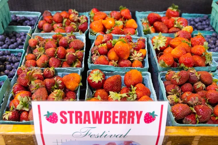Strawberries for sale at Shady Brook Farm in Yardley, Pa., on June 5, 2024.
