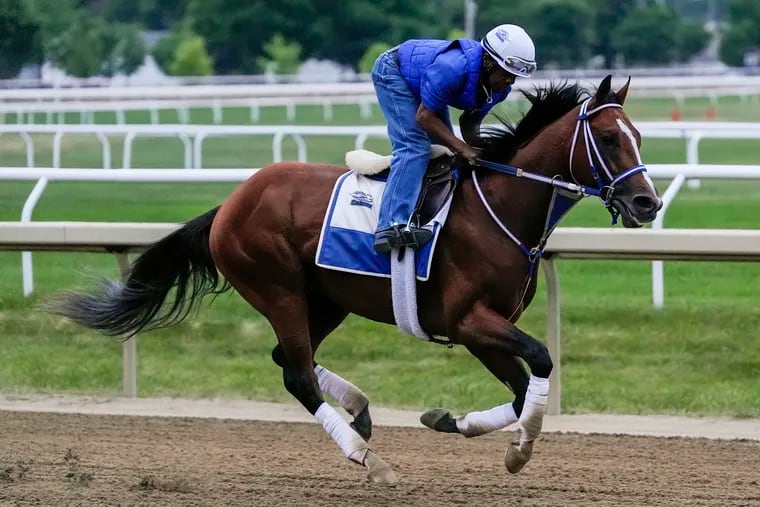 Kentucky Derby winner and Belmont Stakes entrant Mystik Dan works out ahead of the 156th running of the Belmont Stakes at Saratoga Race Course Thursday.