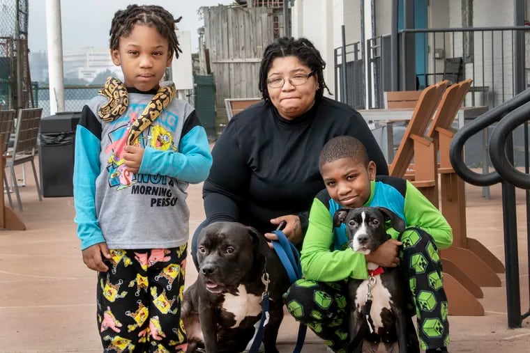Antwanette Wyche with her sons, Masiah Frazier, 5, holding his pet snake (Milena), and Farrakhan Simons, 11, with pit bulls Bella, right, and Bubby, at their temporary residence last week at the Airport Waterfront Inn in Essington.  Red Paw Emergency Relief helped reunite the family with their pets after a fire destroyed their home.