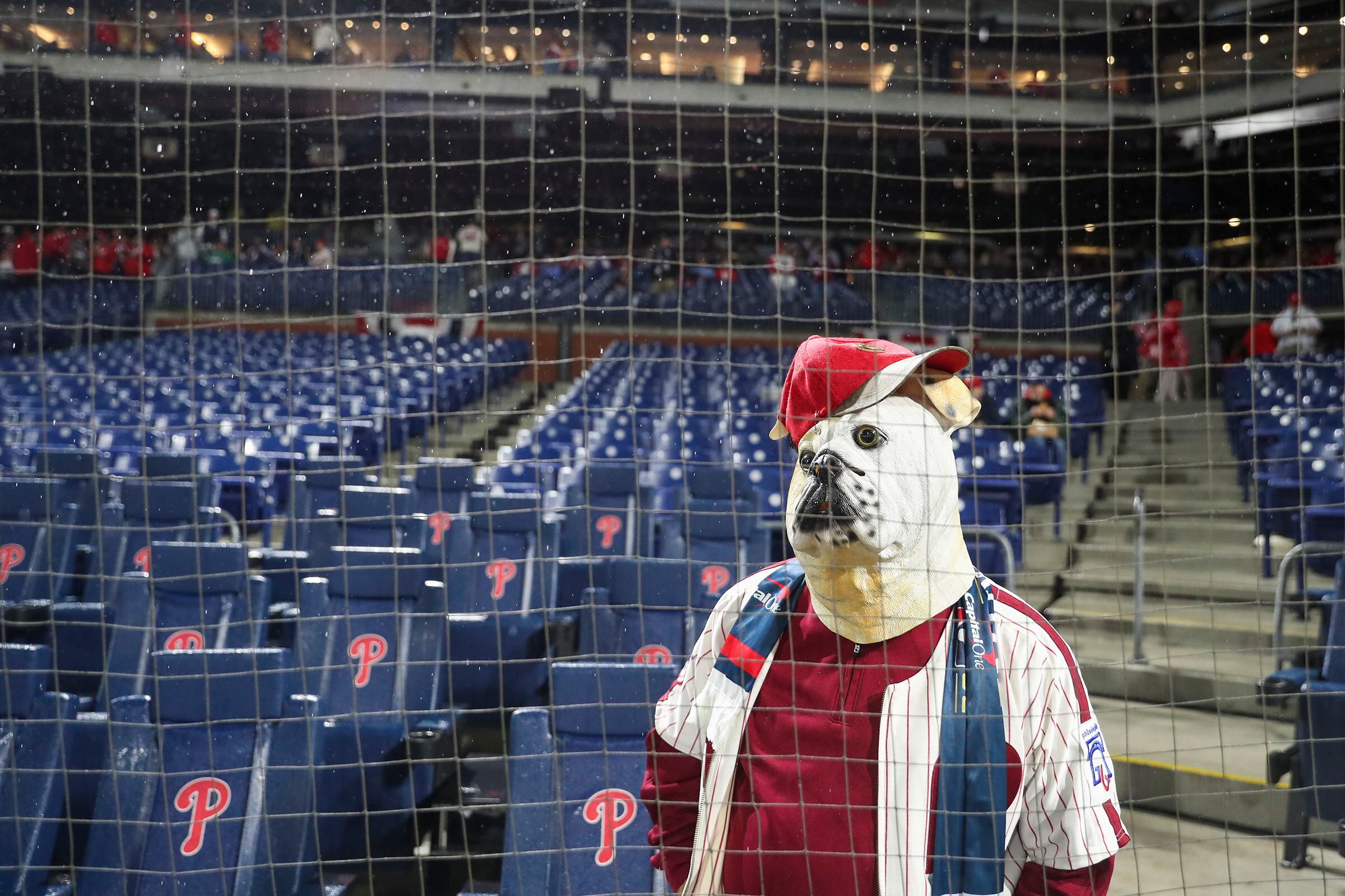 Photos: Meet the Fans of the World Series Halloween Game - ESPN