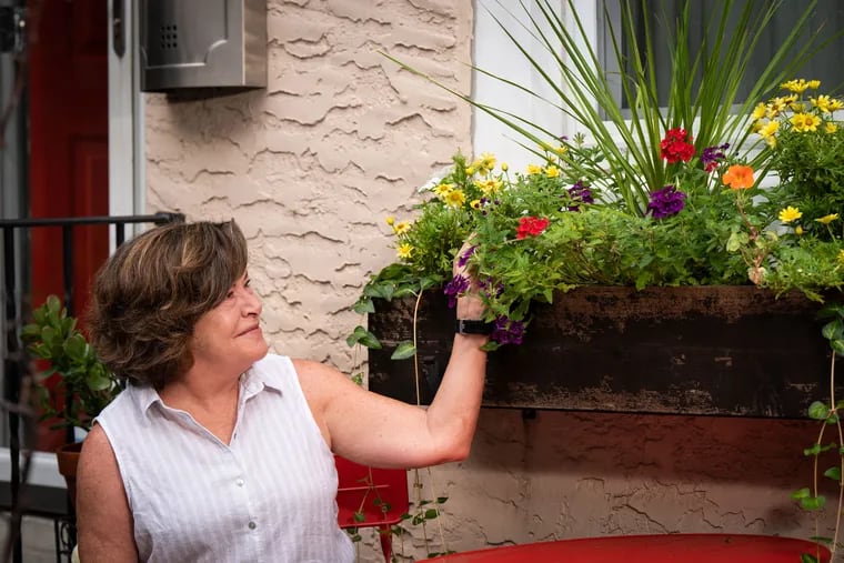 Marilyn Storck poses with the window boxes in her front garden, which won first place in the small garden category of the Fairmount Civic Association’s 2024 Flowering Fronts of Fairmount Competition.