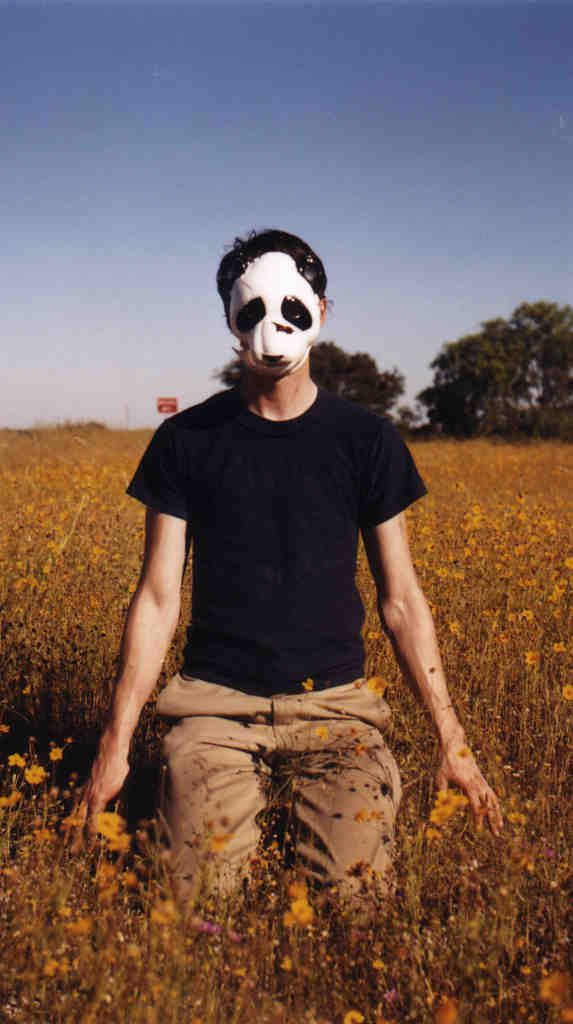 animal collective masks