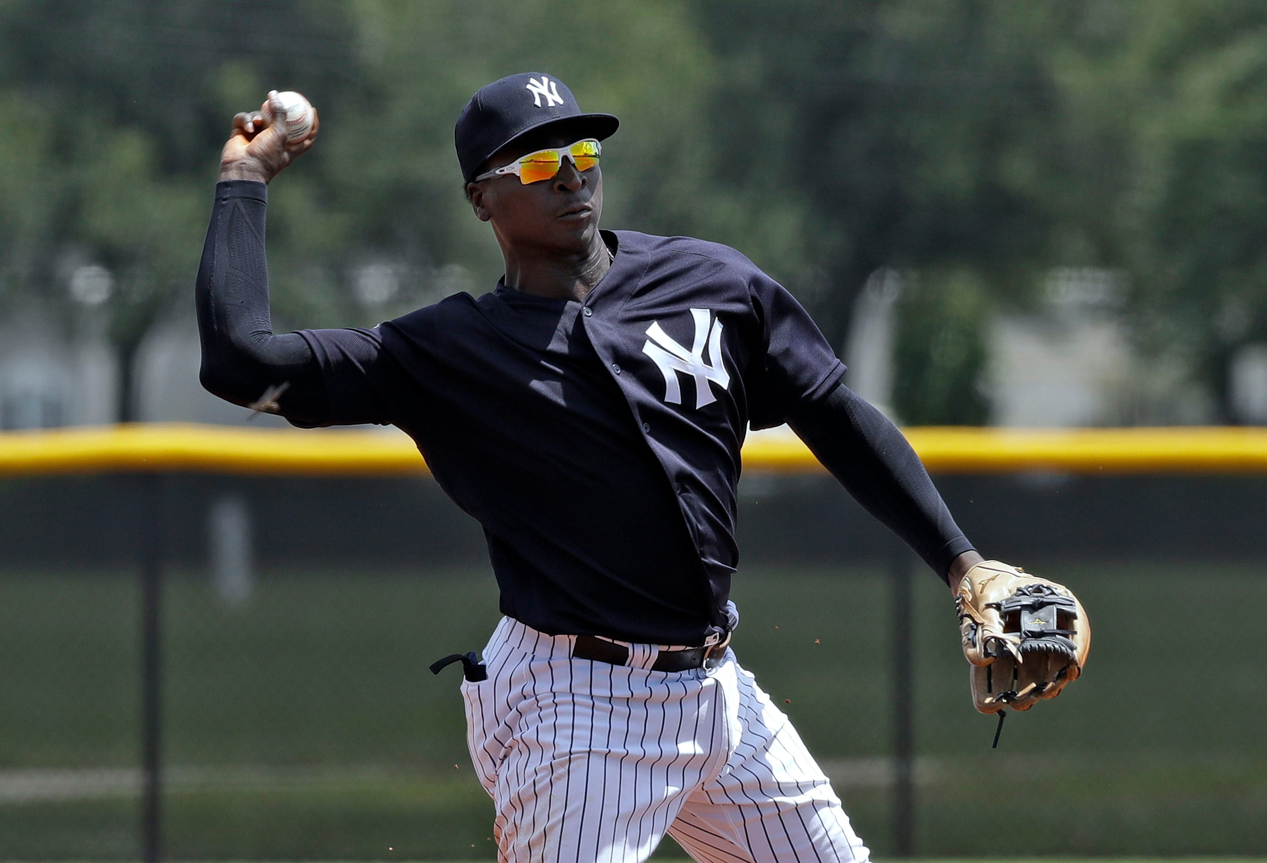 Former Yankees SS Didi Gregorius trying to revive career in