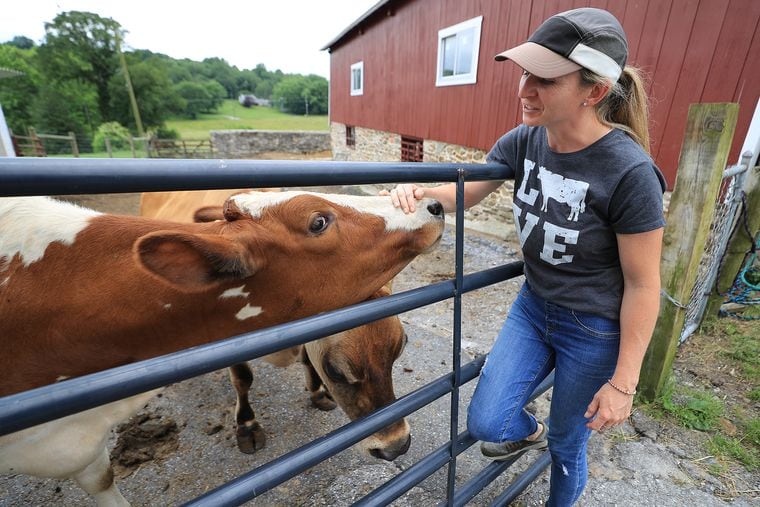 Dairy farms, creameries, and cheesemakers worth a drive near Philly