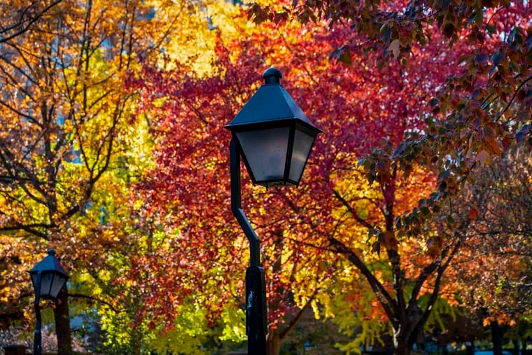 Independence National Historical Park last November as fall produced a spectacular last gasp of orange, yellow and reds.