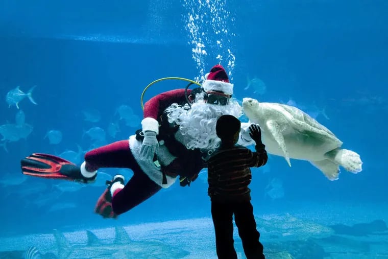 Eat breakfast with Scuba Santa and watch him dive into the holiday spirit as the Adventure Aquarium continues its Christmas Celebration daily.