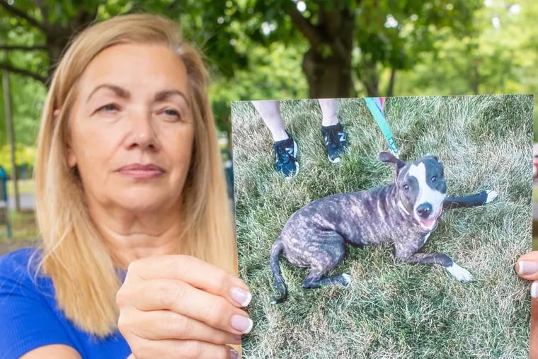 Bernadette Creedon holds a picture of the pitbull she rescued and took to the Montgomery County SPCA, which she named "Chase," who was abruptly euthanized with no warning despite showing no signs of aggression.