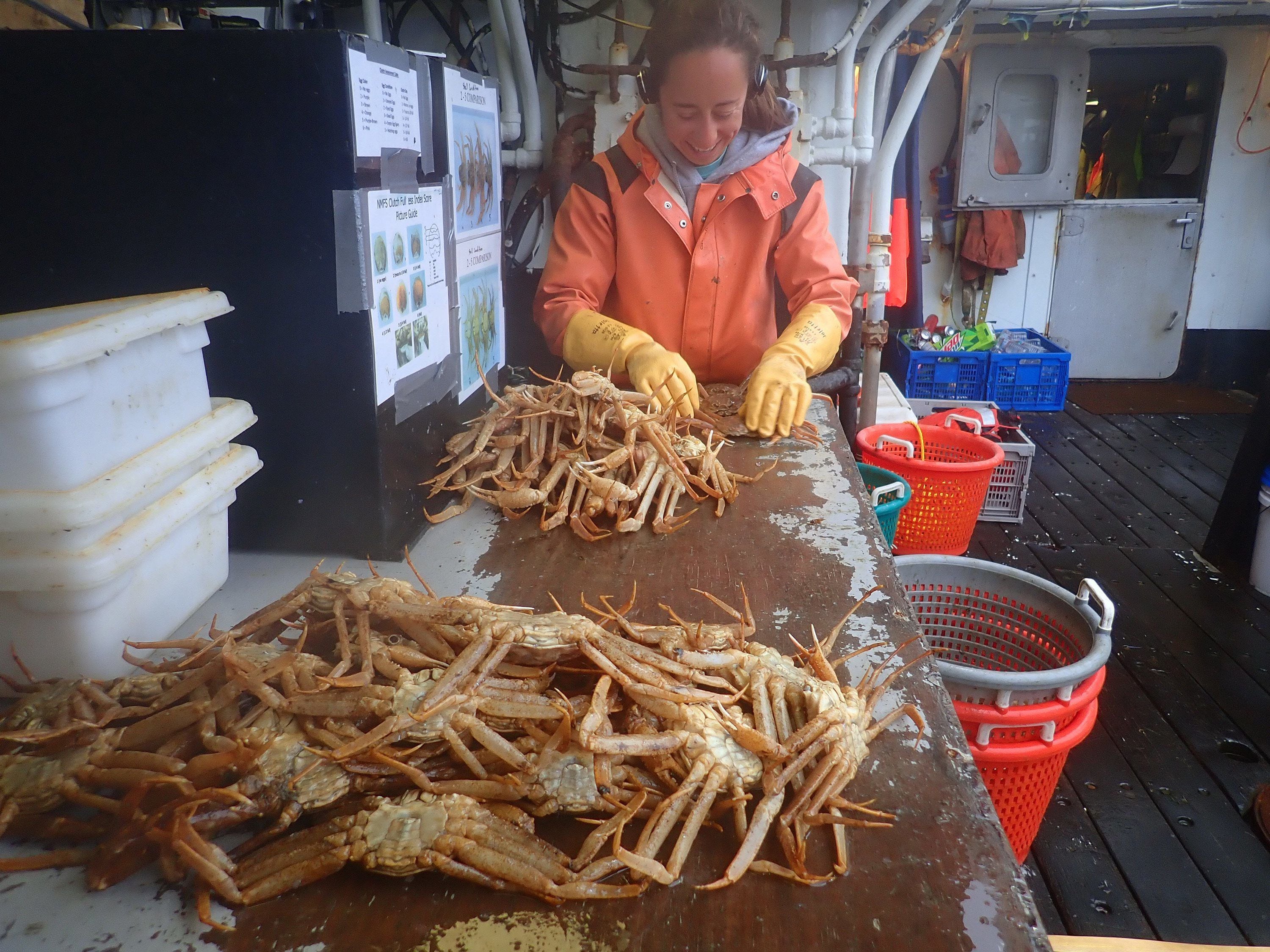 Alaska Cancels Snow Crab Fishing Season for First Time