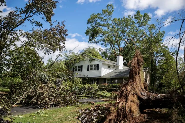 Trees fell on a home on Shady Grove Circle in Doylestown on Tuesday. The weather service has confirmed a tornado in Bucks County but has not yet completed its investigation.