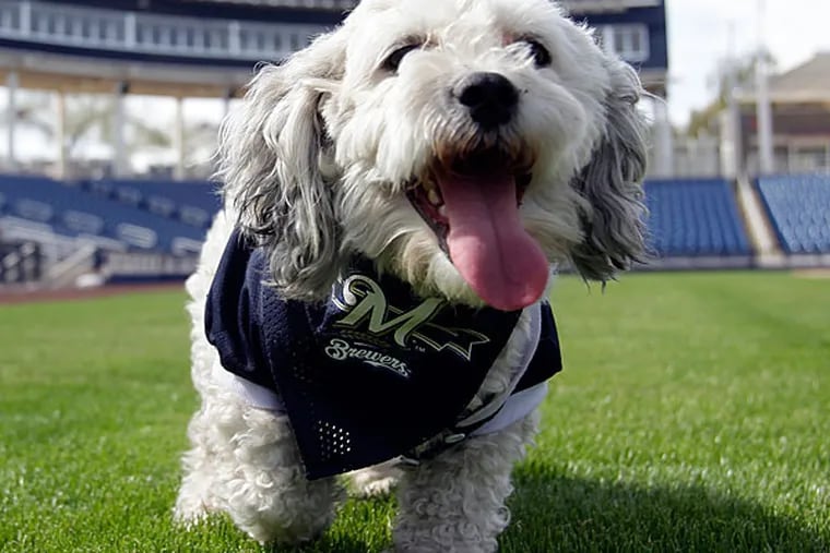 Dog days for Brewers fans