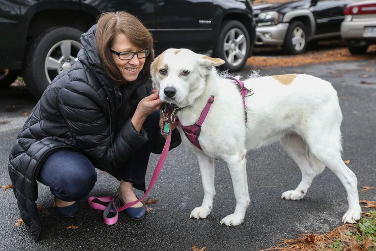 When Dogs And Cats Go Missing This Chester County Pet Finder Knows Where And How To Look For Them