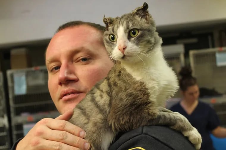 Fire Dept. Lt. Stephen Paslawski is adopting Campbell the cat. Photo: PSPCA.