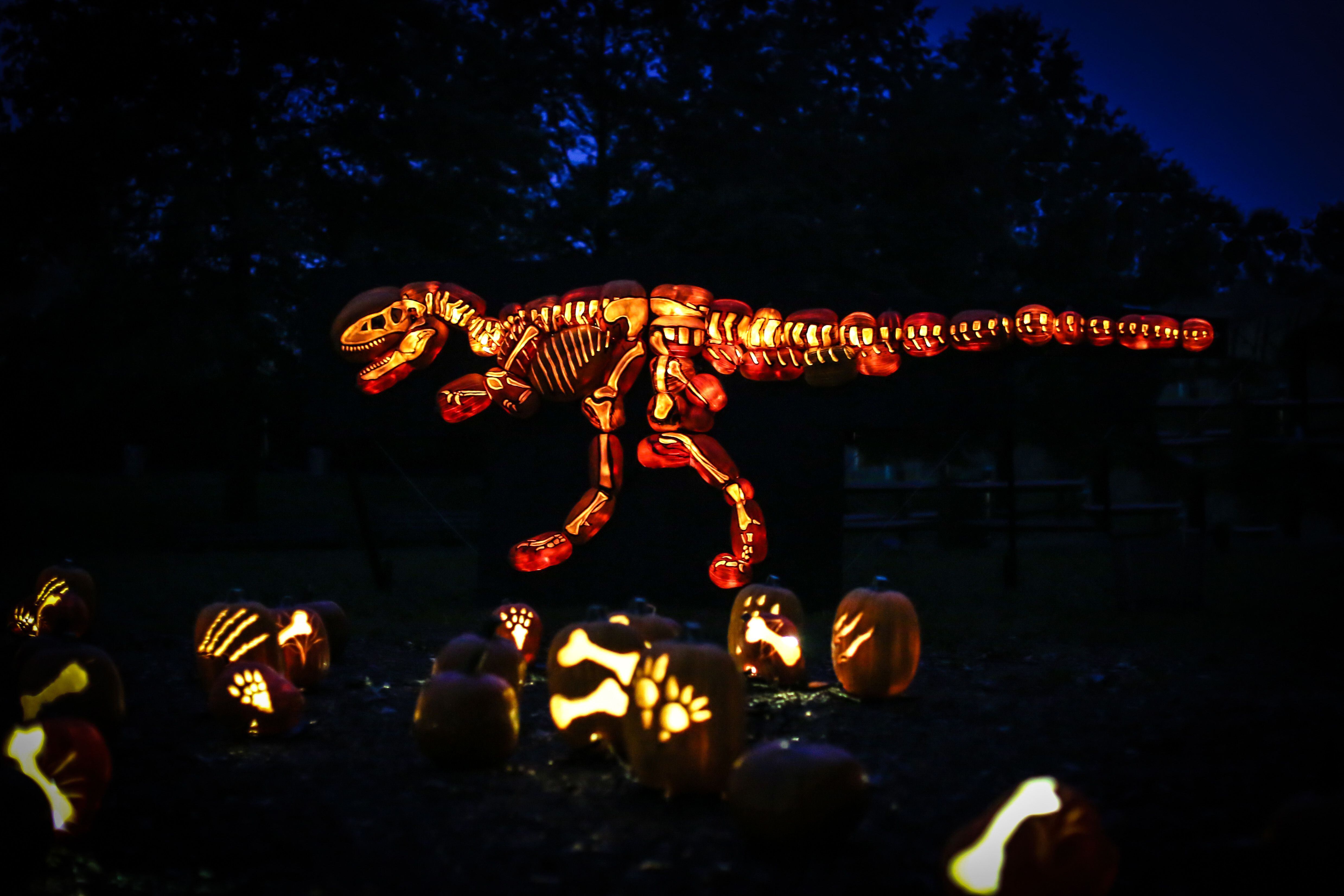 Thousands of pumpkins, real and fake, to illuminate Fairmount Park