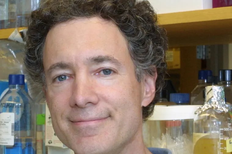 Bruce Yankner researches gene regulator’s role in the disease.