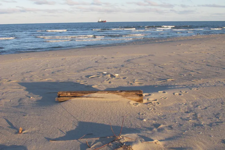 A February 2022 file photo of the beach in Sandy Hook, N.J.
