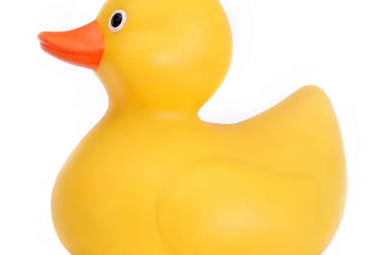 Harmless? One rubber duck contained excessive phthalate, a plasticizer that could harm development of the male reproductive system.