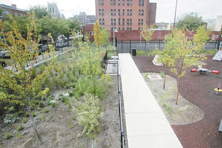 Overview of the rain garden at the park at 2nd and Reed. ( David Swanson / Staff Photographer )