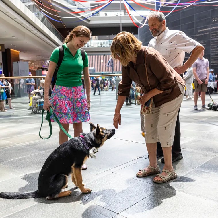 Kalie Desimone of Montgomery County and Samantha, a 5-month-old German shepherd, greets Frances Rosenblum of Doylestown, in the lobby of the Kimmel Center on Saturday.