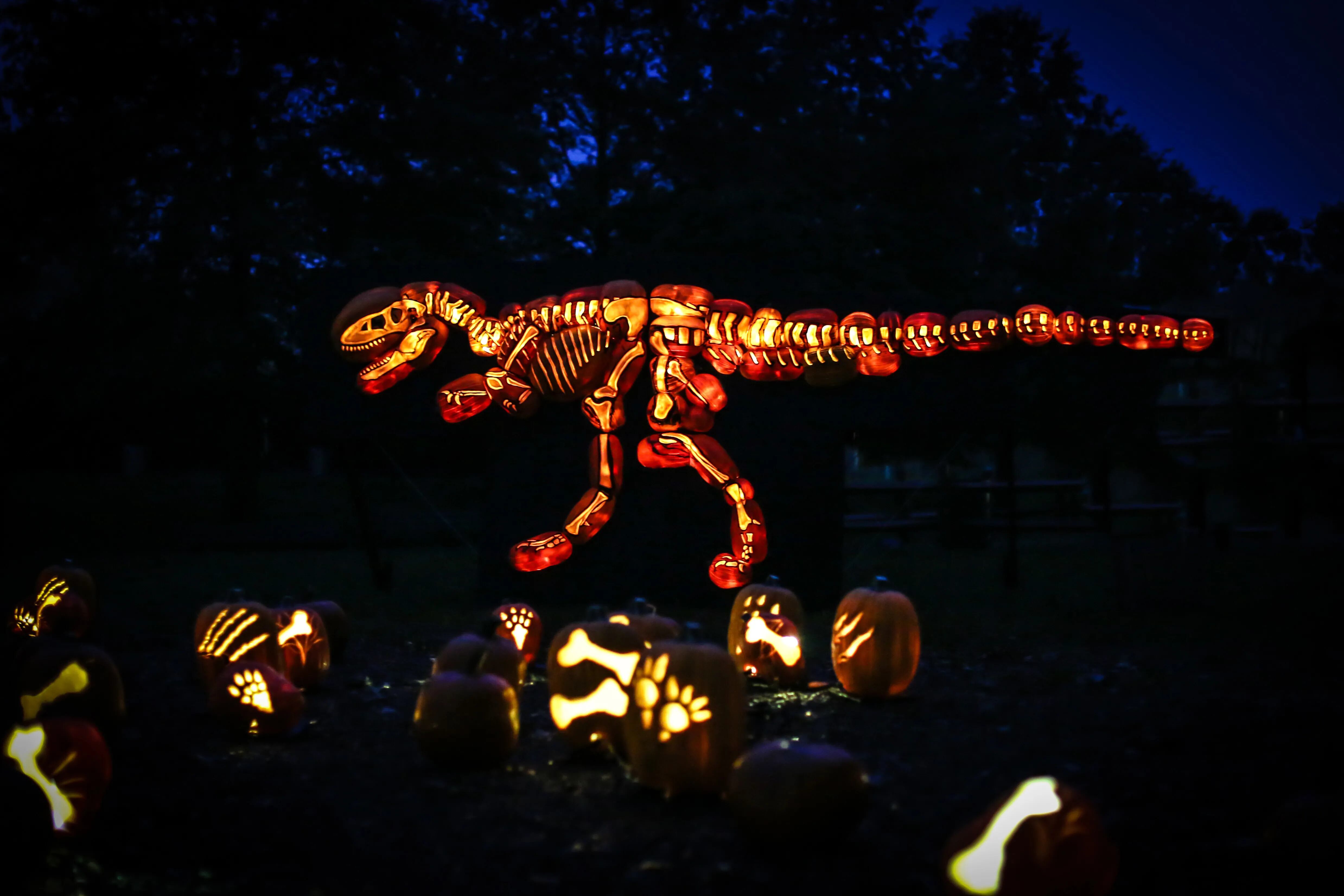 What's the trick to the Instagram-friendly jack-o'-lanterns in