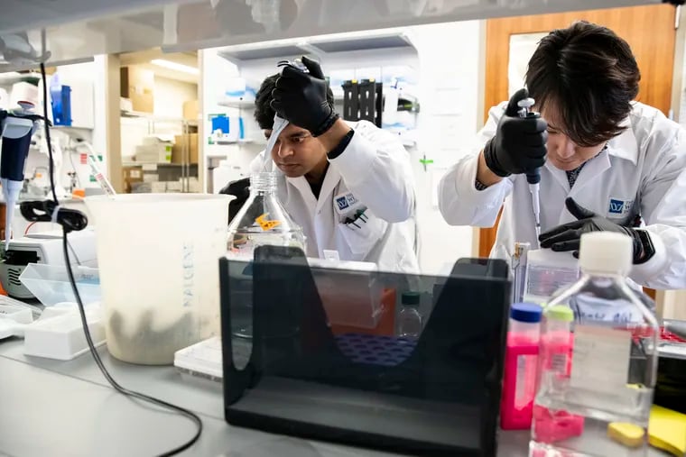 (left to right) Faraz Zaidi, project manager, and Daniel Park, Penn graduate student, do a western blot analysis to compare different versions of the Coronavirus vaccine at the Wistar Institute.