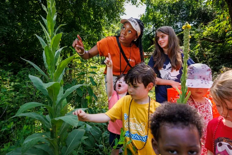 Sariah Cochran surrounded by children as they identify plants on their morning hike. Camp counselor Sariah Cochran of Philadelphia working with children attending summer camp at Schuylkill Environmental Center in Roxborough on Thursday, July 6, 2023.
