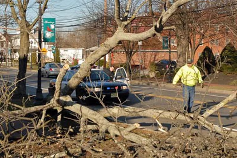 Les King, right, a worker with the Burlington County Highway Dept., and Evesham Township police Officer Michael DeGregorio, left, inspect a large tree in Marlton which toppled in the high winds earlier today. (Tom Gralish / Staff Photographer)