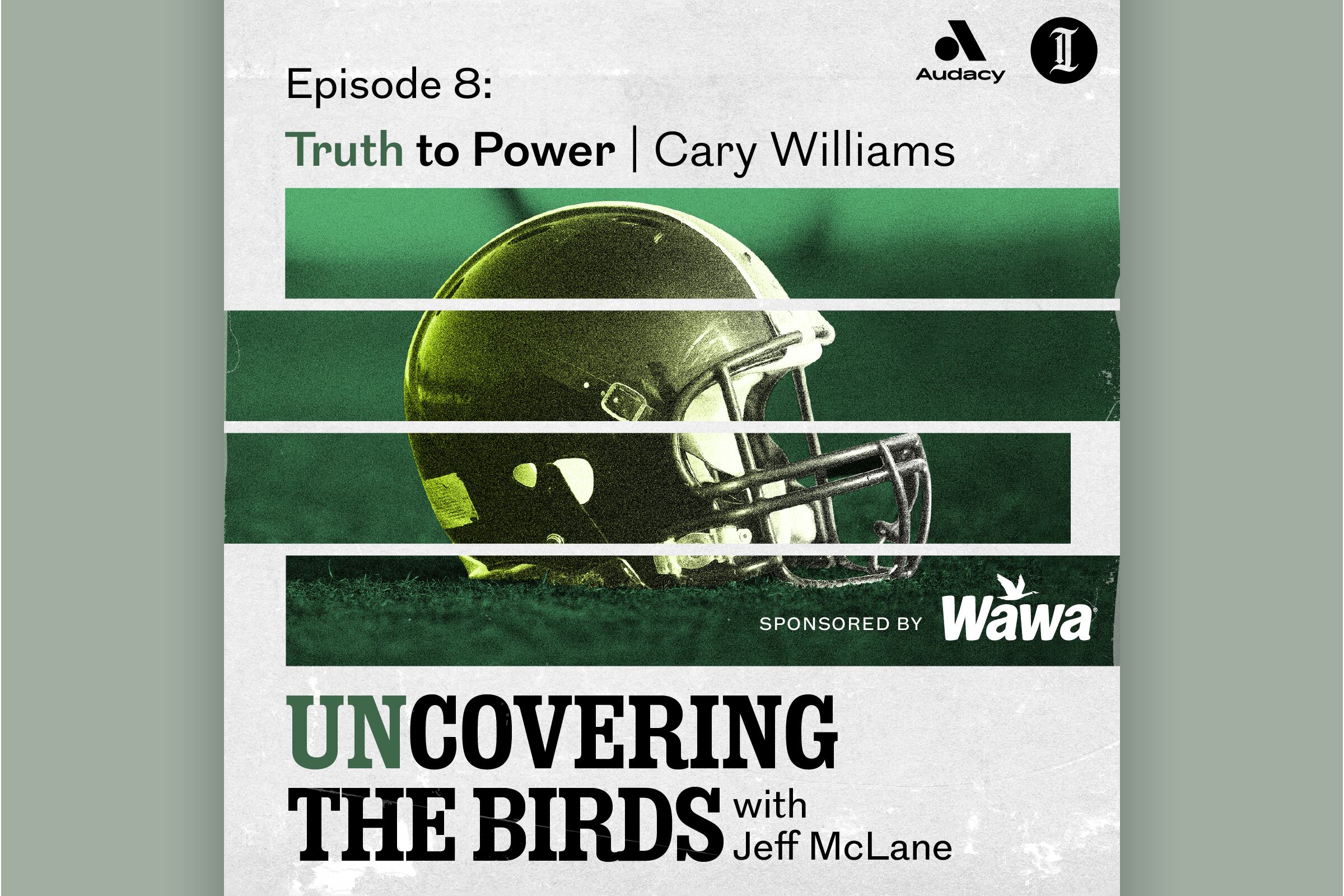 Interview with the Enemy: Philadelphia Eagles - Canal Street Chronicles