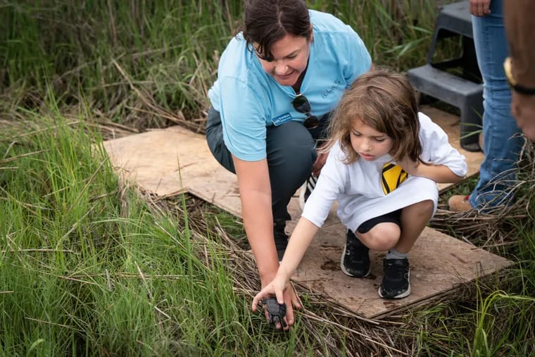 Lisa Ferguson, director of research and conservation at the Wetlands Institute, teaches kindergarteners from Stone Harbor School about diamondback terrapins, as the kindergarteners release them into nearby marshes as part of a program by the Wetlands Institute and Stockton University.