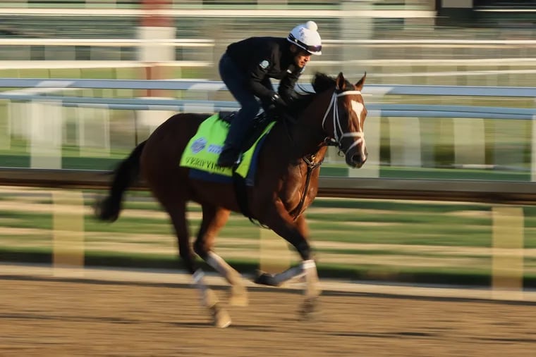 Kentucky Derby odds, prediction Which long shots have a shot to hit