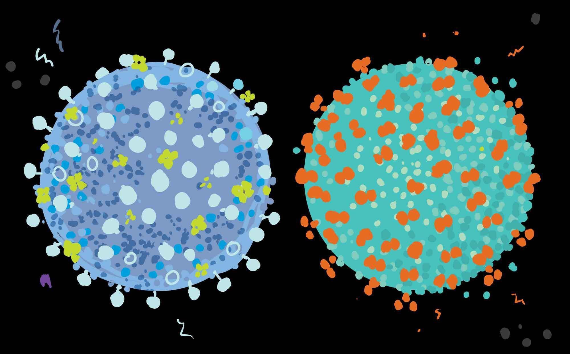 What Happens When You Catch More than One Virus?