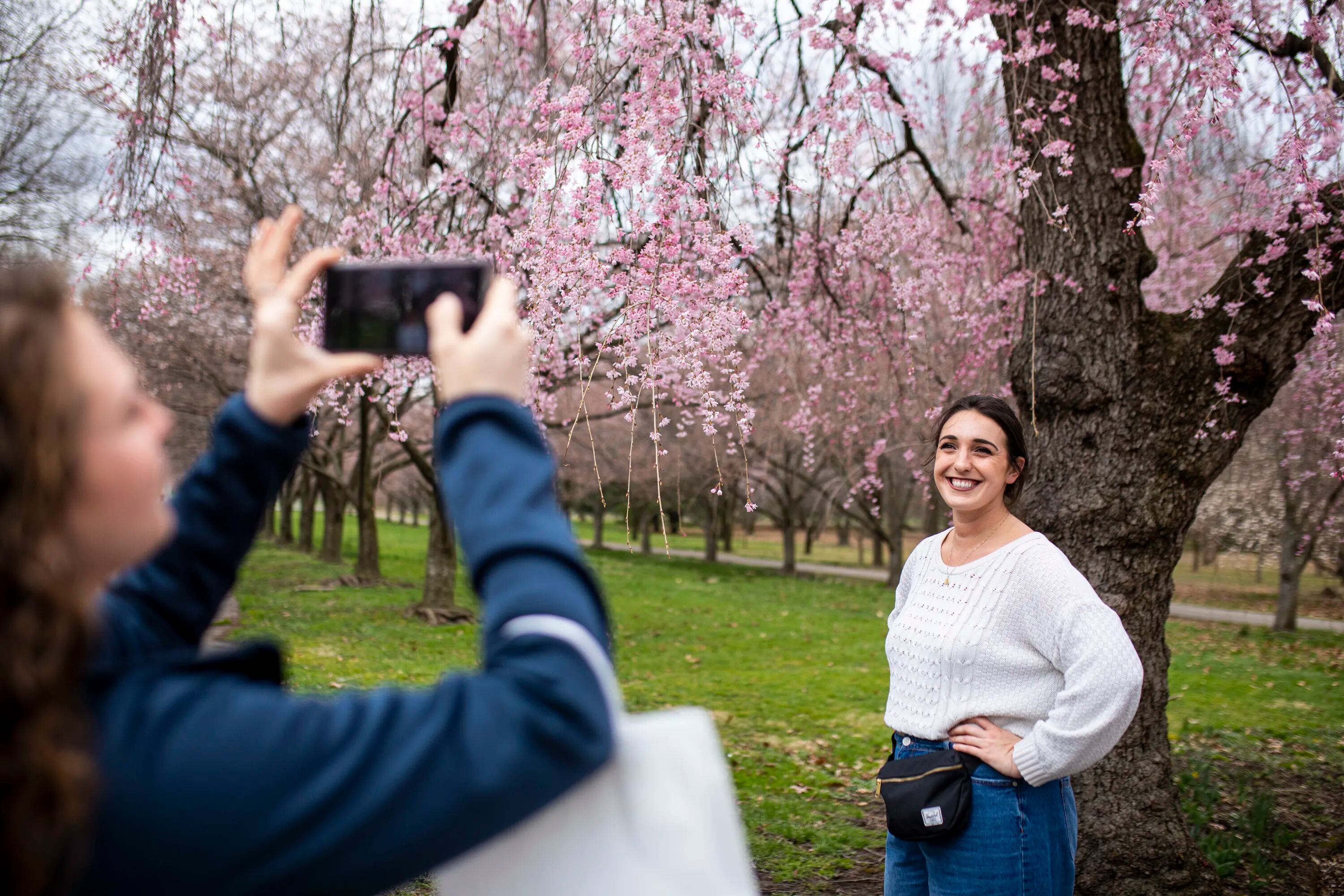 Bok Bar and Triple Bottom Cherry Blossom Beer Garden open for the season