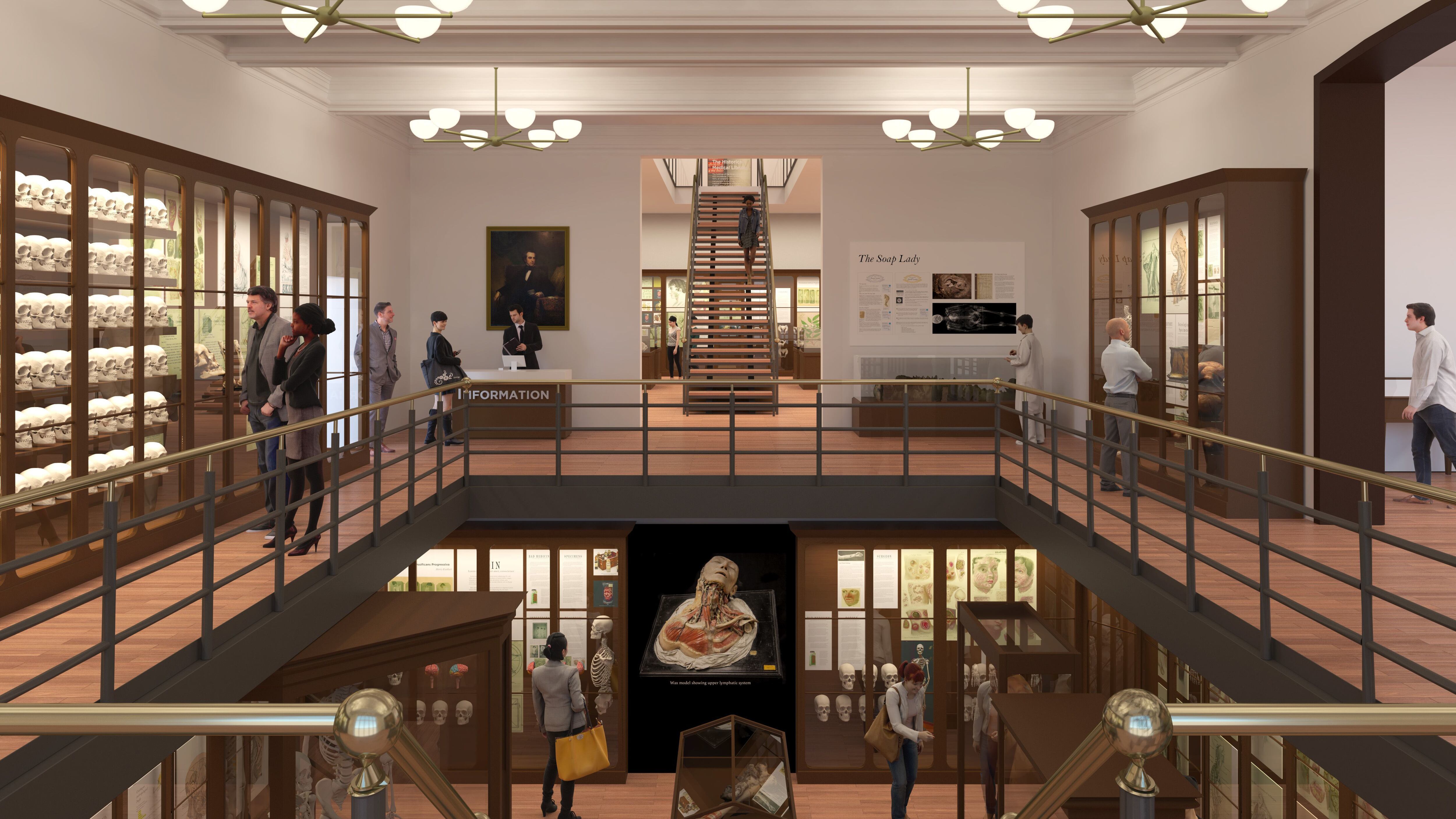 Mütter Museum of The College of Physicians of Philadelphia - The
