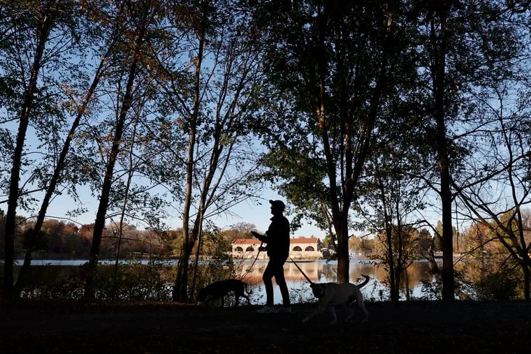 A walker strolls past Edgewood Lake at FDR Park in South Philadelphia with their dogs.