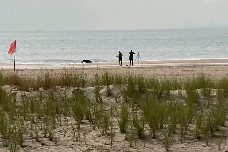 New York Police investigators examine a stretch of beach at Coney Island where three children were found dead in the surf.