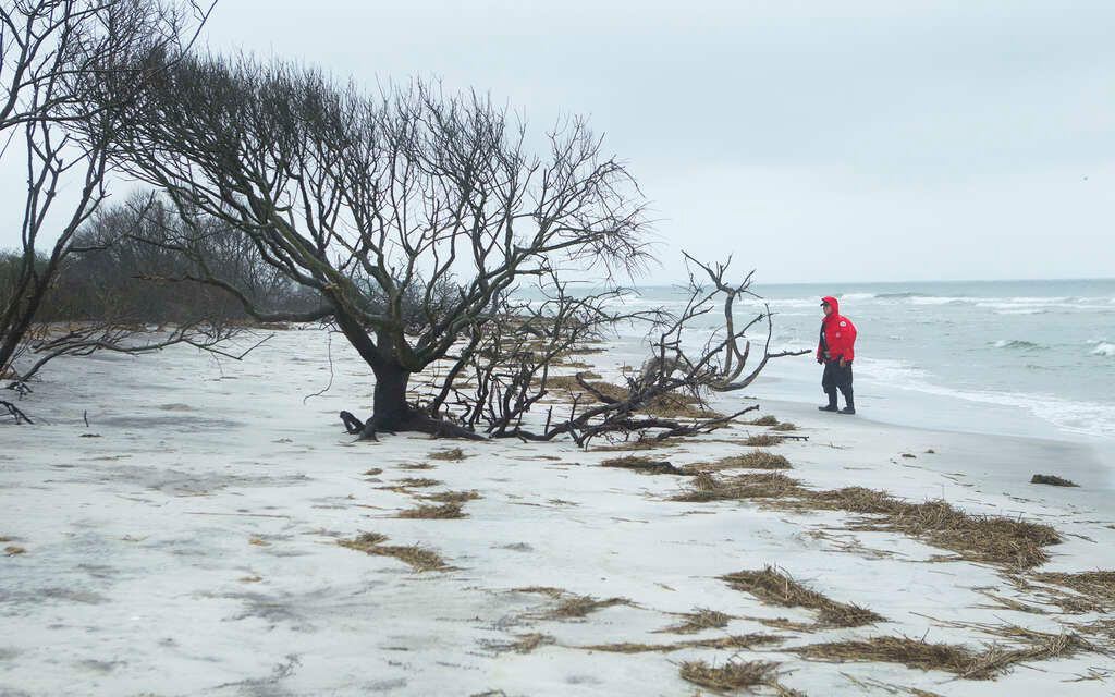 Little beach sale island nj