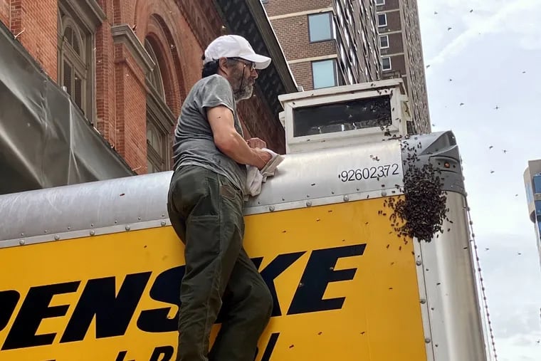 Beekeeper Eric Schoefer sizing up the bee swarm that latched onto Opera Philadelphia's rental truck on May 7, 2023.