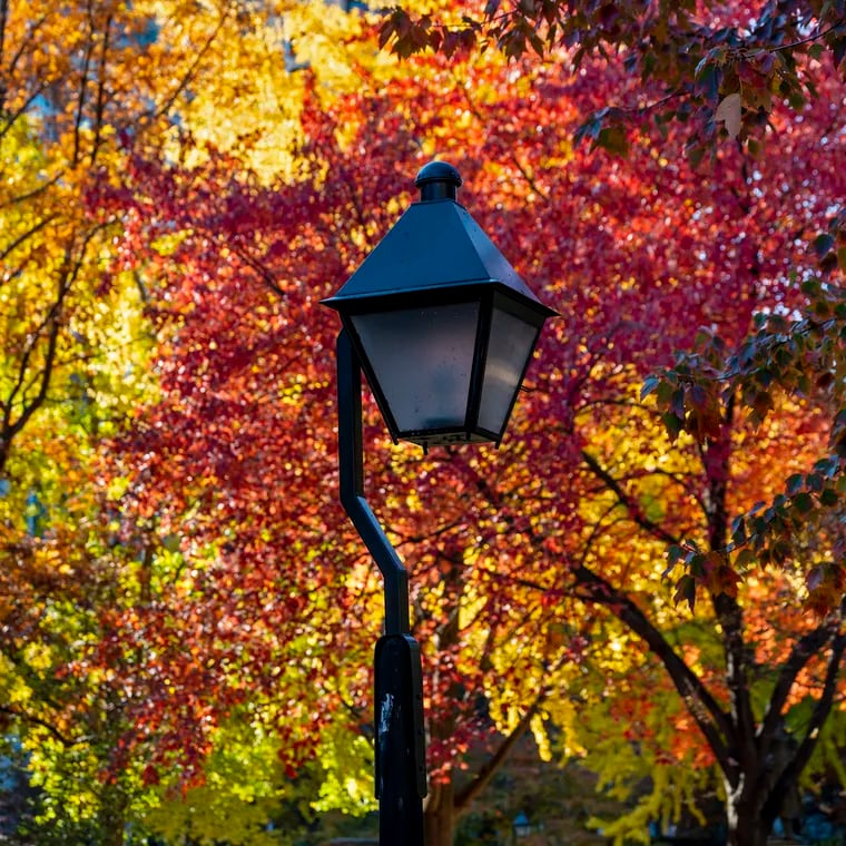 Independence National Historical Park last November as fall produced a spectacular last gasp of orange, yellow and reds.