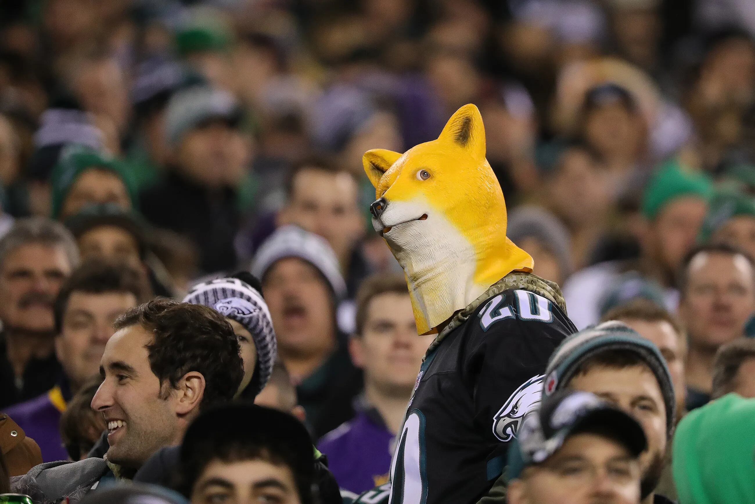 sells out of Philadelphia Eagles' underdog German Shepherd