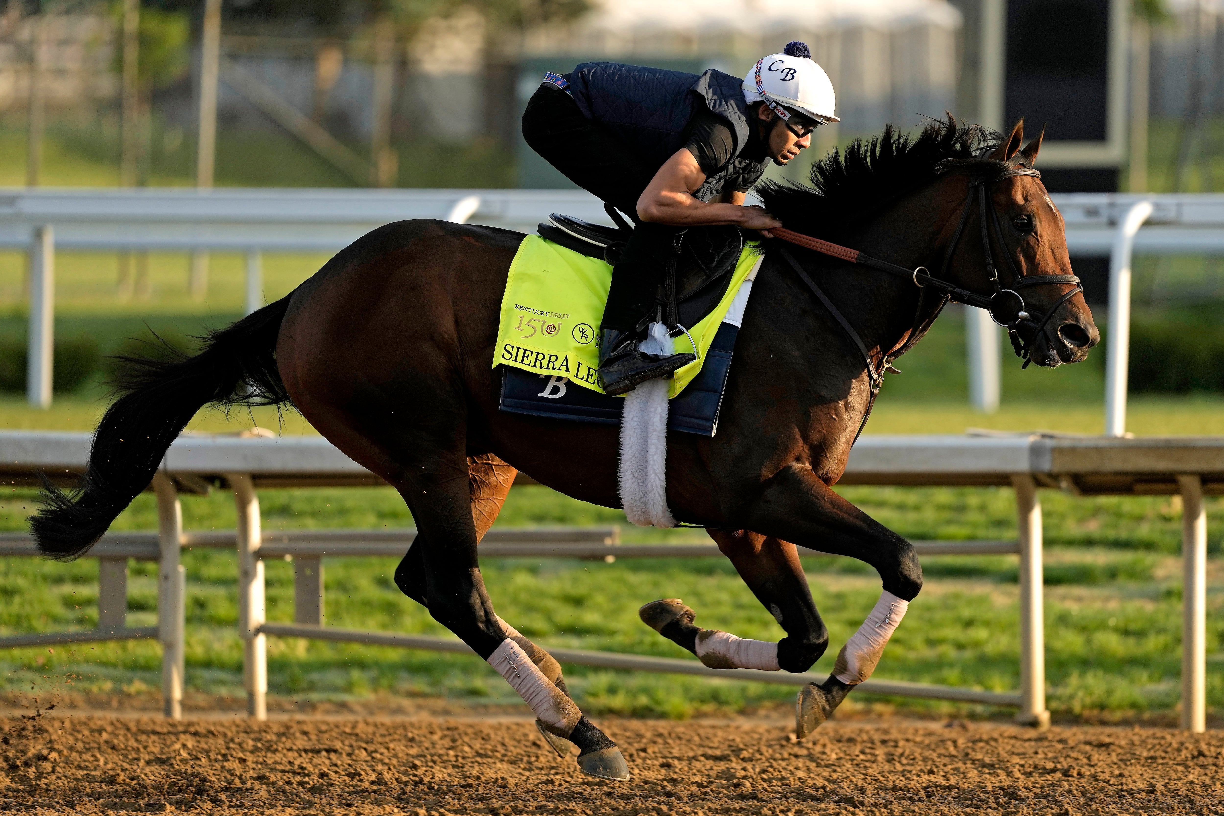 Kentucky Derby 2024: Horses, post positions and a preview of the Triple  Crown race