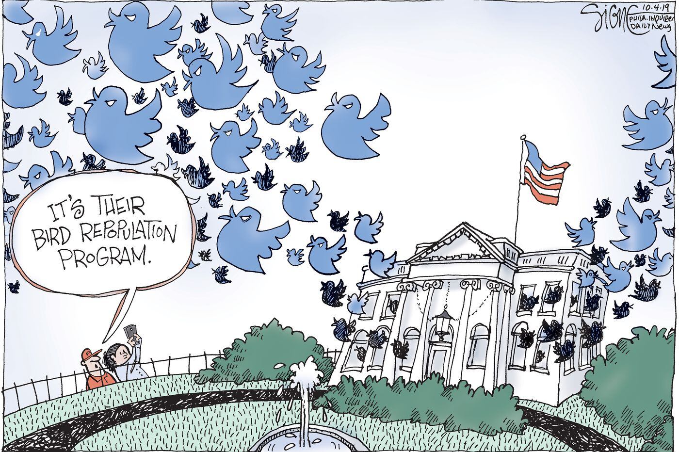 Political Cartoon Angry White House Birds