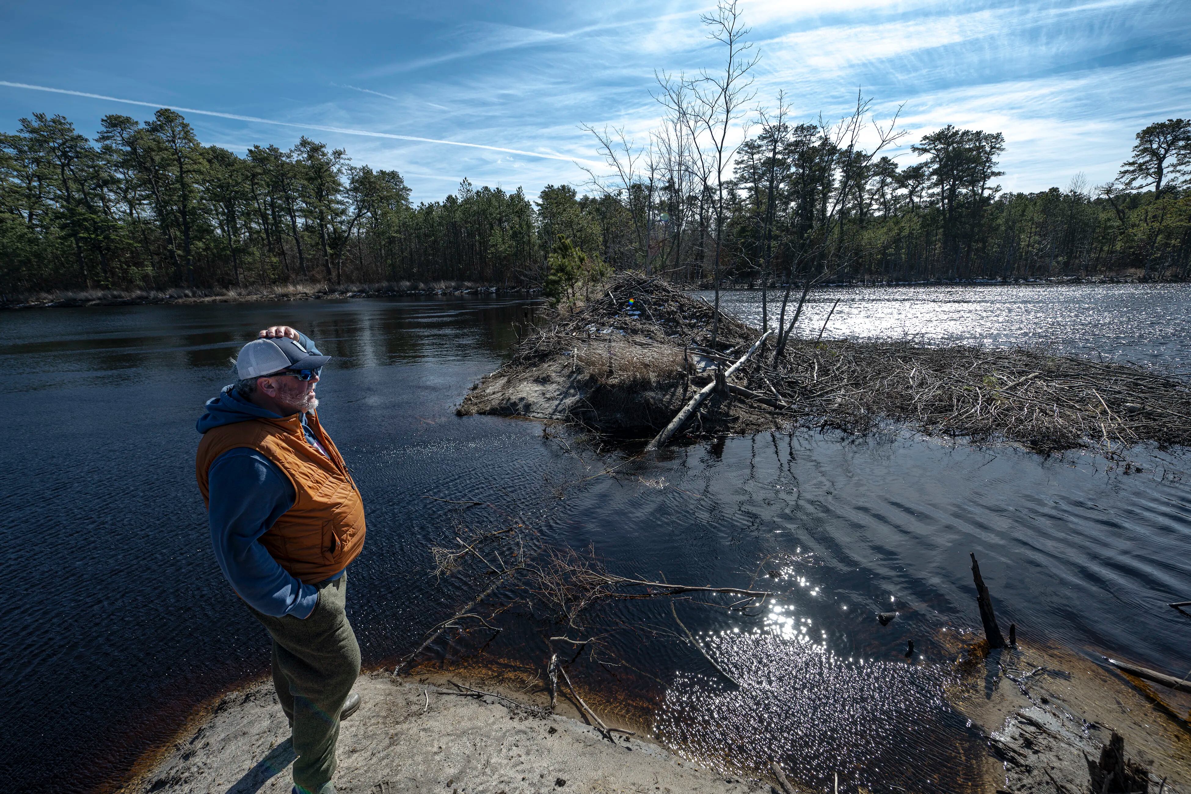 Chris Ritter looks at a large beaver nest to his left, located in a reservoir near his home in New Egypt, N.J. 