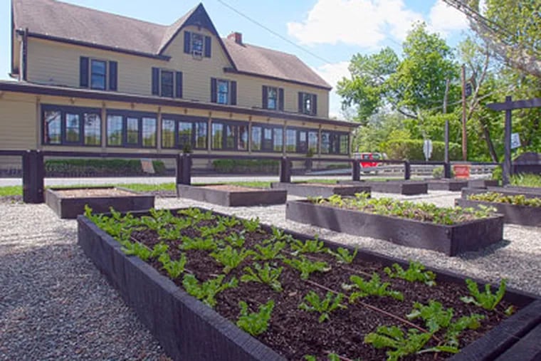 At the Yardley Inn in Yardley, executive chef Eben Copple persuaded the proprietor to remove the charming English boxwood garden and replace it with a kitchen garden in raised beds for growing produce for the menu. (Akira Suwa / Staff Photographer)